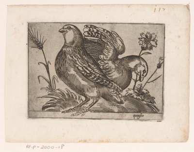 dos codornices Quaglie (título sobre objeto) Pájaros (título de la serie) de Monogrammist AG