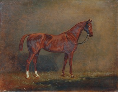 retrato, de, un, equitación, caballo de Monogrammist A. G.