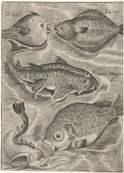 Studieblad se reunió de manera diferente Iconos vivos de peces (título de la serie) de Monogrammist P+P