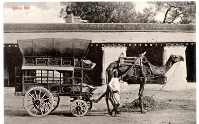 Camel Dak, c.1911-12 (foto sepia) de Moorli Dhur and Sons