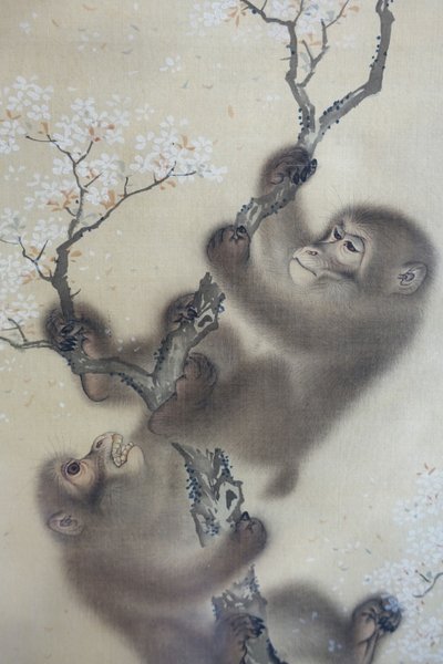 Monos en un cerezo en flor, 1 de 2, Mori Sosen, Japón, periodo Edo, principios de 1800, tinta y color sobre seda - Arthur M. Sackler Museum, Harvard University - DSC01127 de Mori Sosen