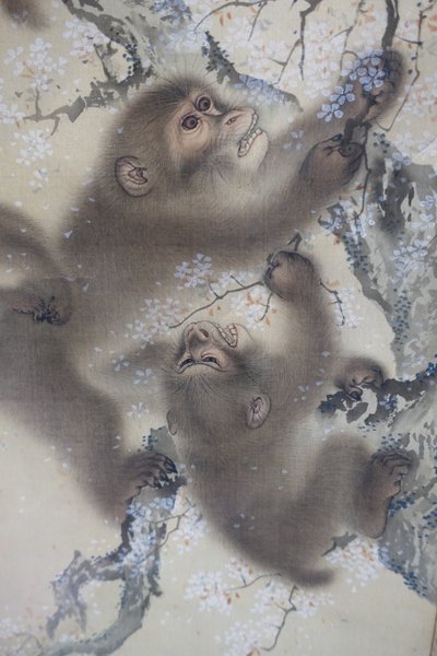Monos en un cerezo en flor, 2 de 2, Mori Sosen, Japón, periodo Edo, principios de 1800, tinta y color sobre seda - Arthur M. Sackler Museum, Harvard University - DSC01128 de Mori Sosen