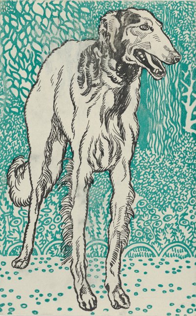 Galgo de Moritz Jung