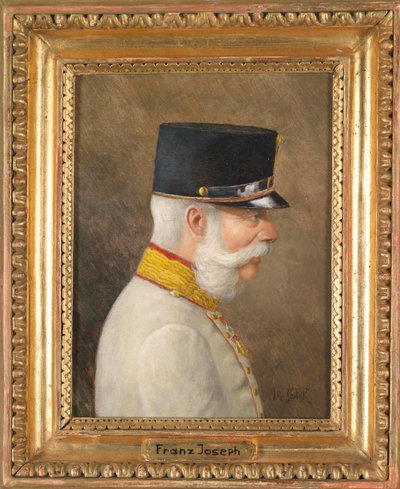 Retrato de Francisco José I de Austria de Moritz Ledeli