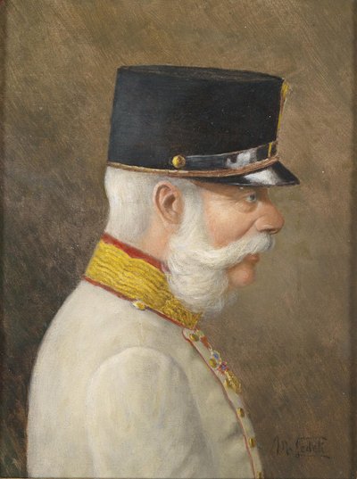 Retrato de Francisco José I de Austria de Moritz Ledeli