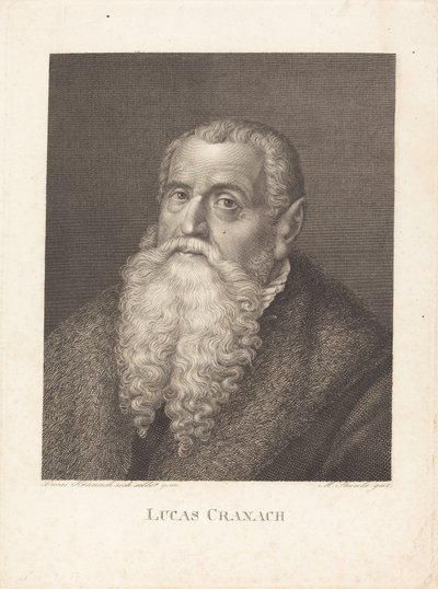 Lucas Cranach de Moritz Steinla