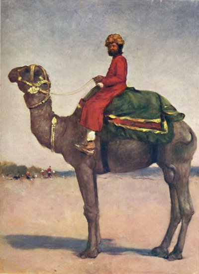 Un jinete de camello de Kota, 1903 de Mortimer L Menpes