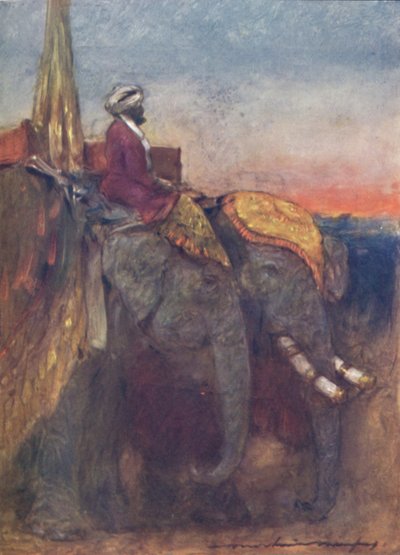 Elefantes de Jaipur de Mortimer L Menpes