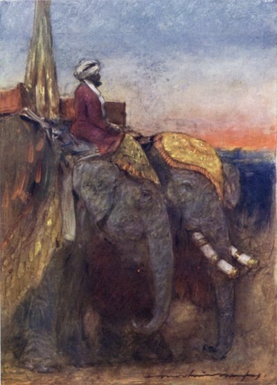Elefantes de Jaipur de Mortimer Ludington Menpes