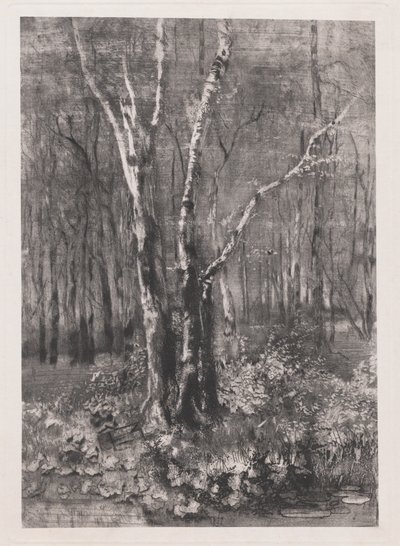 Bosques en el parque cerca de Monza de Mose Bianchi