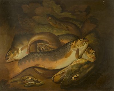 Peces de Moses Haughton