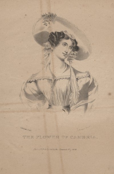 La flor de Cambria, litografía de C.G. Childs, 1830 de Moses Swett