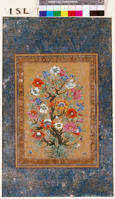Planta mítica de Mughal School