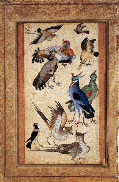 Diez pájaros de Mughal School
