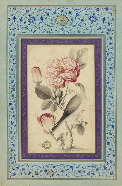 Rosas y ruiseñor, finales del siglo XVIII (tinta y color sobre papel) de Muhammad Baqir
