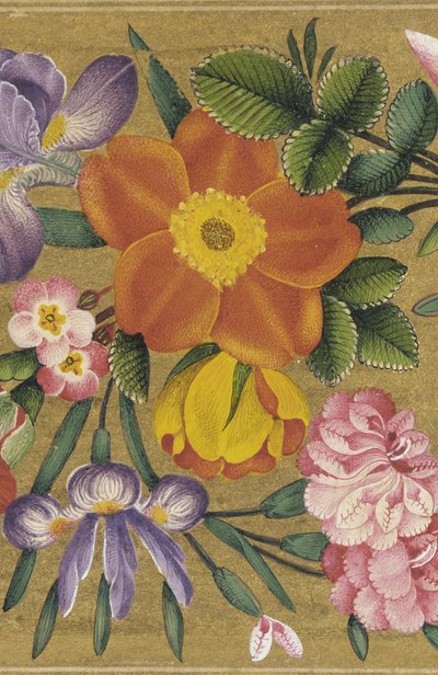 Página del Álbum de San Petersburgo, India, 1727 (color sobre fondo dorado) de Muhammad Sadiq