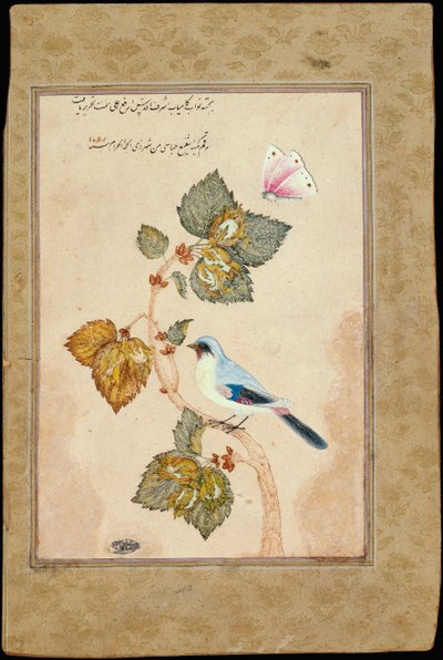 Un Pájaro en una Rama de Avellano de Muhammad Shafi Abbasi