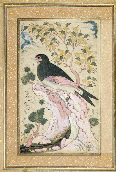 Pájaro posado en una roca, 1684 de Muin Musavvir