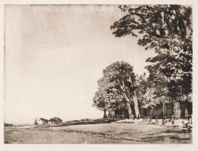 Hampstead Heath de Muirhead Bone