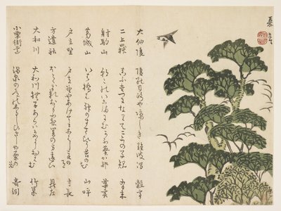 Árbol grande y pájaros, c.1830-44 de Murata Kagen