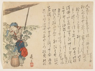 Recolectores de té, c.1830-44 de Murata Kagen