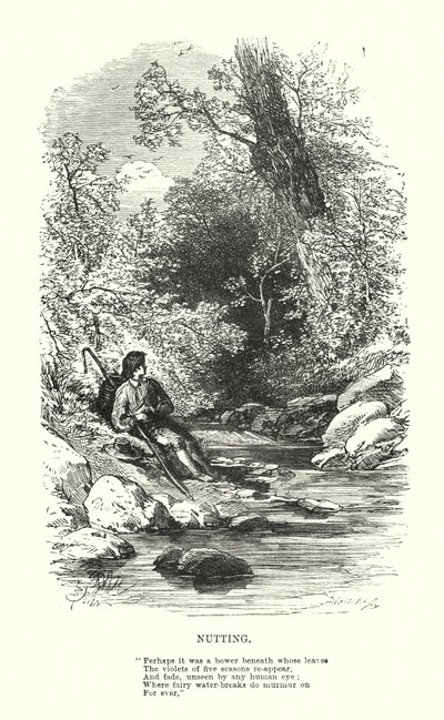 William Wordsworth: Nutting de Myles Birket (after) Foster