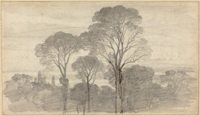 Un paisaje vespertino con árboles altos de Myles Birket Foster