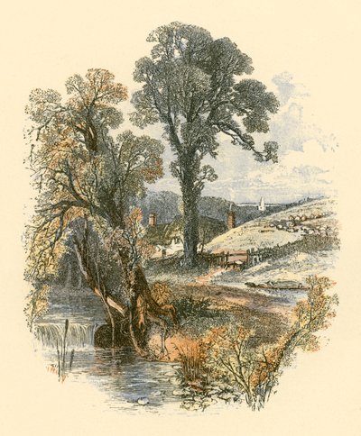Bellezas de la naturaleza de Myles Birket Foster