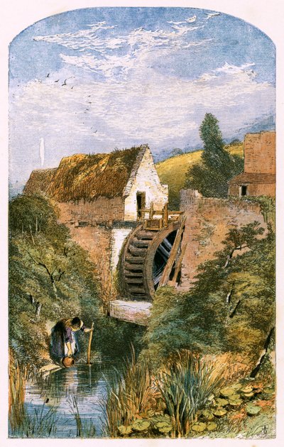 Ilustración para 
