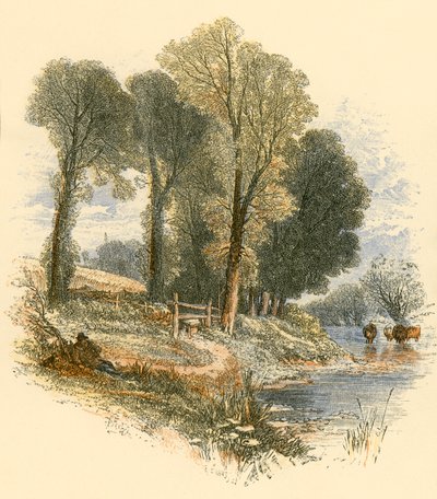 Paseos dominicales de Myles Birket Foster