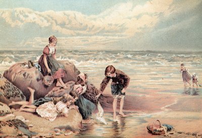 El pájaro marino muerto de Myles Birket Foster