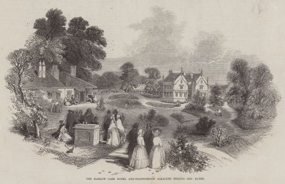 El Hotel Harlow Carr y los Manantiales y Baños Alcalinos Sulfurosos de Myles Birket Foster