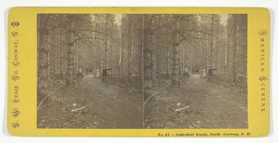 Bosques de la Catedral, North Conway, N.H., mediados del siglo XIX de N.W. Pease
