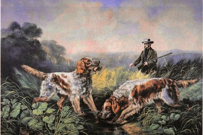 Deportes de campo americanos: Recuperando de N. and Ives J.M. (after) Currier