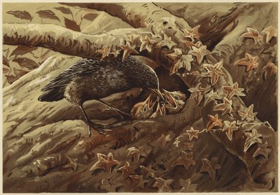 Una guardería ruidosa (litografía) de N. Parker