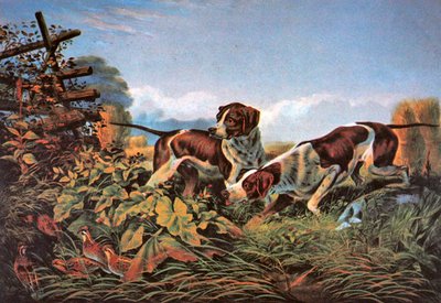 Deportes de campo americanos: En un punto de Currier and Ives