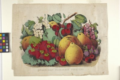 American Summer Fruit (litografía coloreada a mano) de N. and Ives J.M. (1824 95) Currier