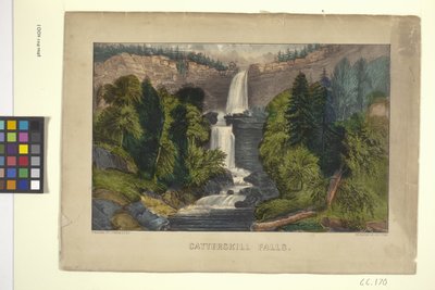 Catterskill Falls (litografía coloreada a mano) de N. and Ives J.M. (1824 95) Currier