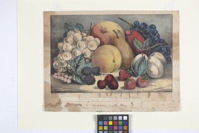 Fruits Of The Season (litografía coloreada a mano) de N. and Ives J.M. (1824 95) Currier