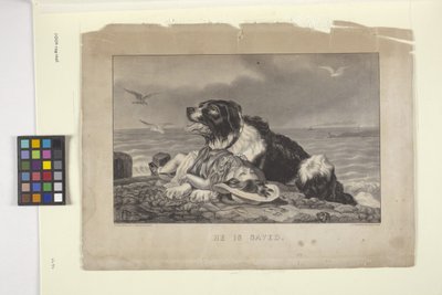 He Is Saved (litografía coloreada a mano) de N. and Ives J.M. (1824 95) Currier