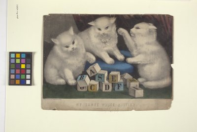 Mis tres gatitos blancos (litografía coloreada a mano) de N. and Ives J.M. (1824 95) Currier