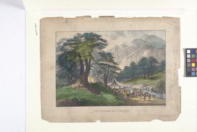 Los cedros del Líbano (litografía coloreada a mano) de N. and Ives J.M. (1824 95) Currier