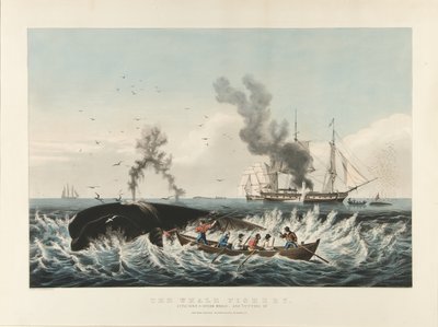 La pesca de la ballena: atacando a un cachalote... y 
