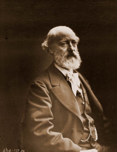 Retrato de Eugene Viollet-le-Duc, arquitecto 1814-1879 de Nadar