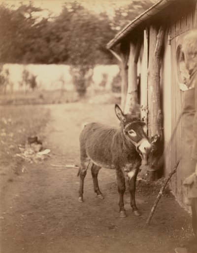 Sénart, el burro Biribi de Nadar [Gaspard Félix Tournachon]