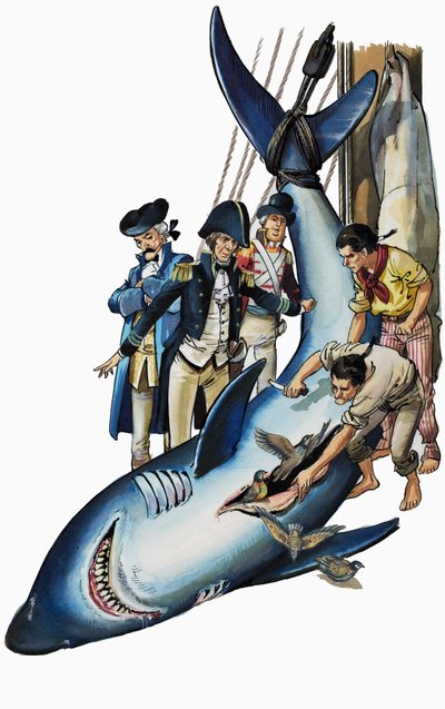 Abrir el estómago de un tiburón (gouache sobre papel) de Nadir Quinto