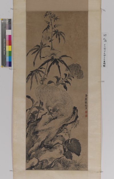 Gallo sobre roca, entre flores (tinta sobre papel) de Naiqi Zhang