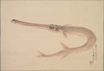 Needlefish (Yagara) de Nakajima Raishō