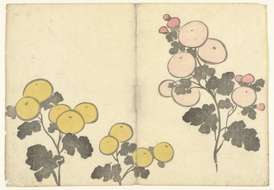 Flores estilizadas de color amarillo y rosa
Álbum impreso de Korin (título de la serie)
Korin gafu (título de la serie) de Nakamura Hochu
