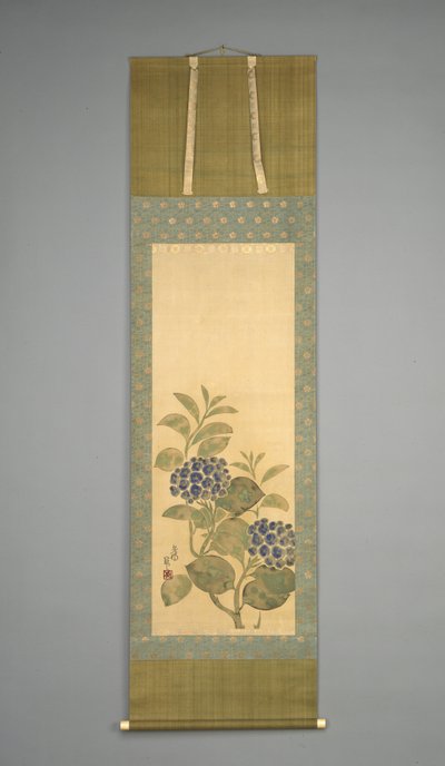 Hortensia, principios del siglo XIX de Nakamura Hochu